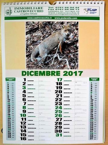 volpe CALENDARIanimaliVOLPE